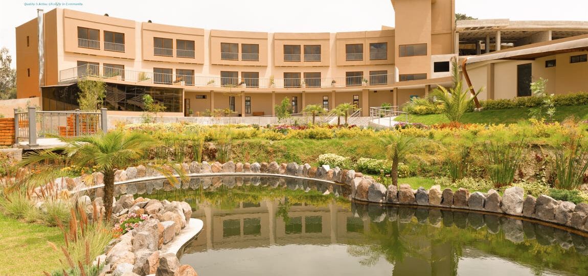 Comunidad para adultos mayores si vives en  Toronto (Ontario): actividades que enriquecen la vida