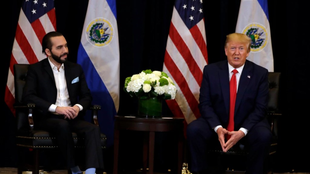 El impacto de América Latina en la política exterior de EE.UU. tras la victoria de Trump El impacto de América Latina en la política exterior de EE.UU. tras la victoria de Trump