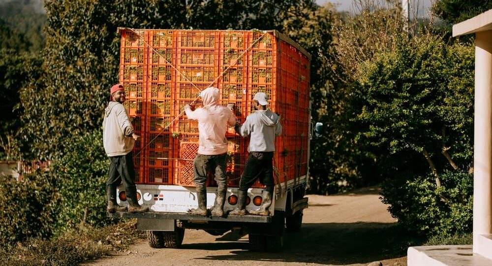 Entrega omnicanal: la estrategia que impulsa logística y ventas en Panamá