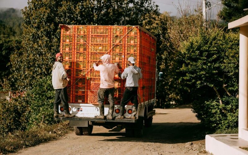 Entrega omnicanal: la estrategia que impulsa logística y ventas en Panamá